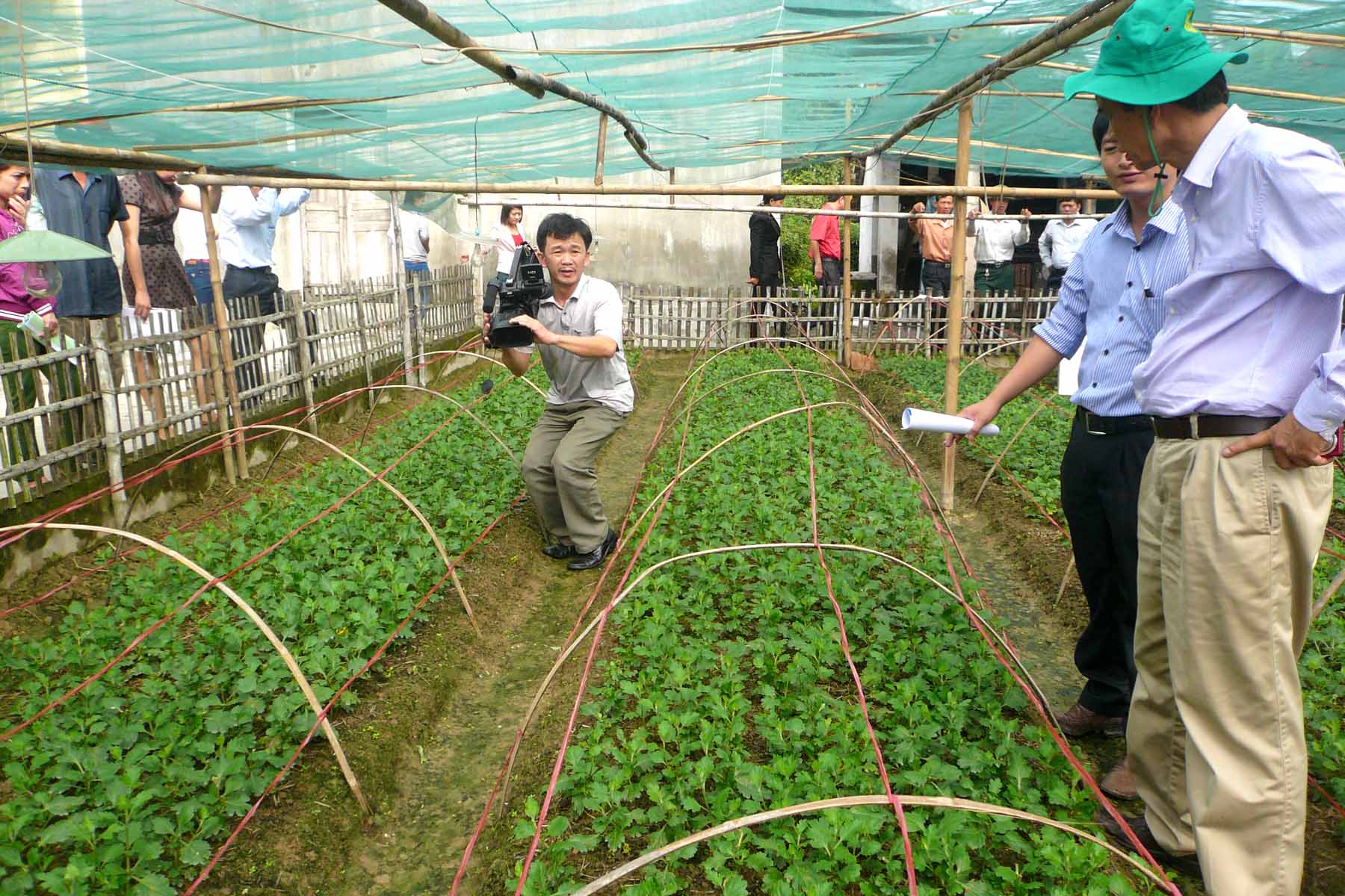 Xem chi tiết